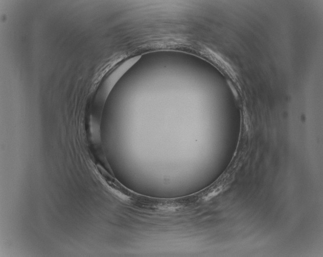 X0000071920105200607281903