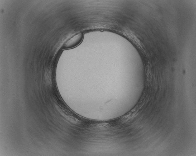 X0000071920108200607281903