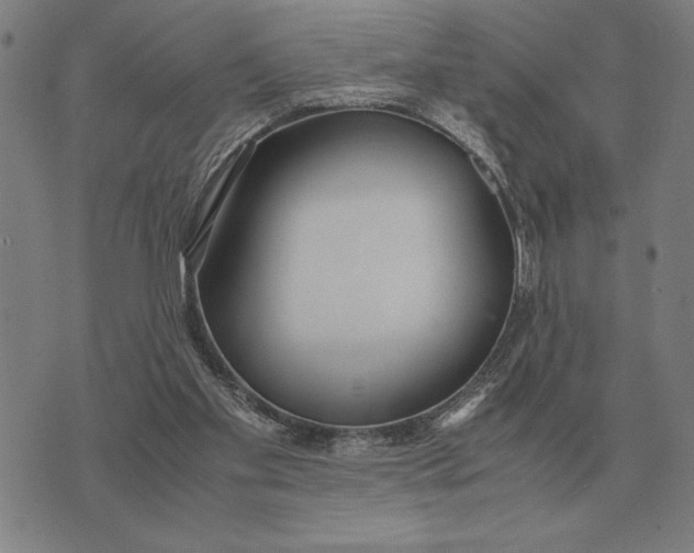 X0000071920109200607281903