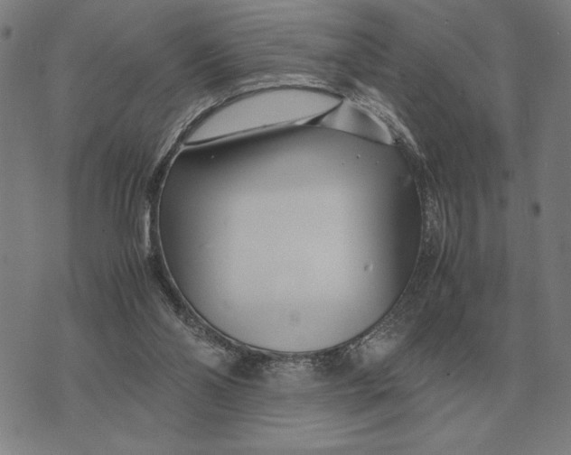 X0000071920110200607281903