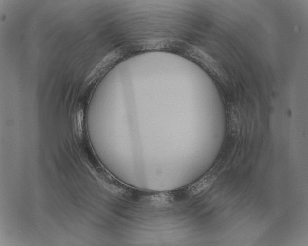 X0000071920118200607281903