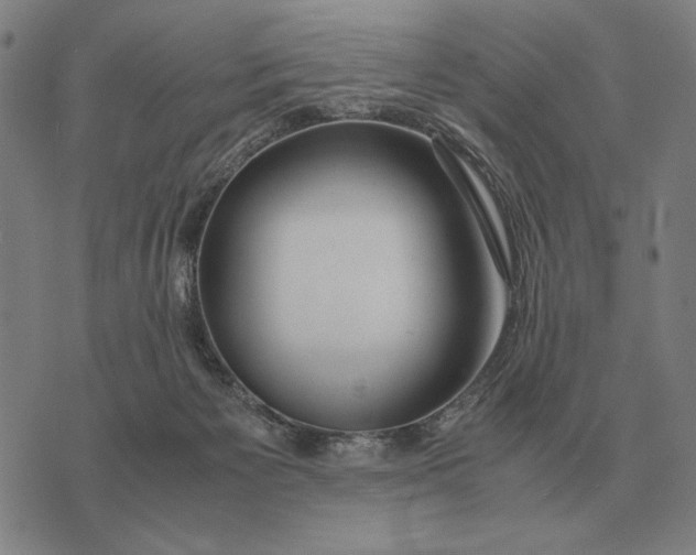 X0000071920125200607281903