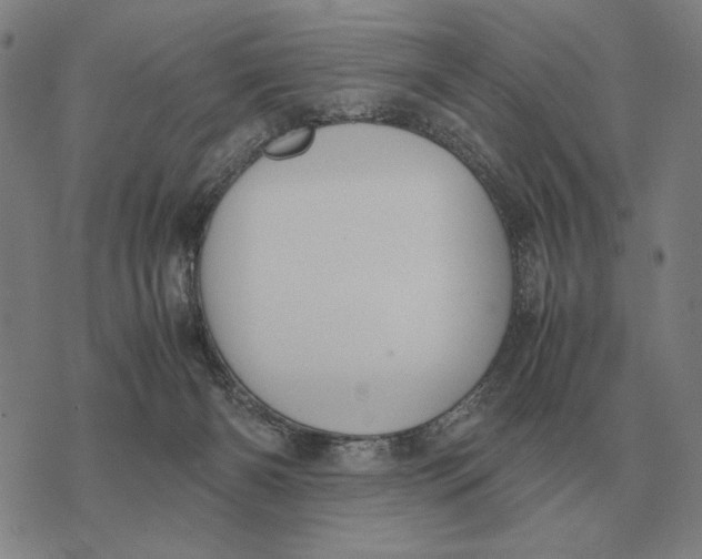 X0000071920126200607281903