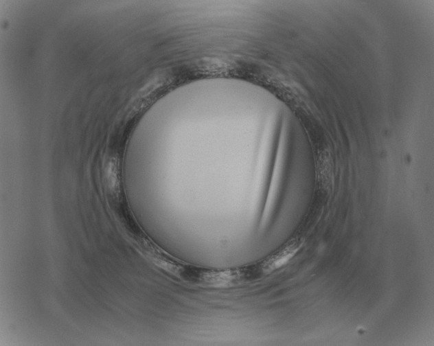 X0000071920131200607281903