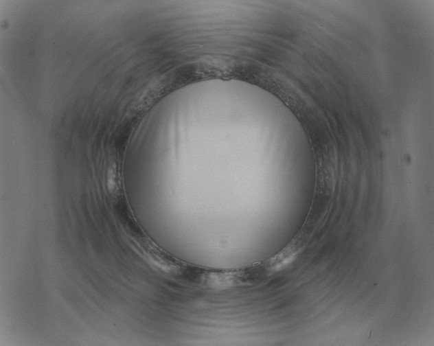 X0000071920134200607281902