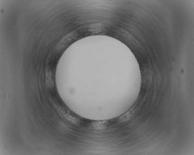 X0000071920136200607281902