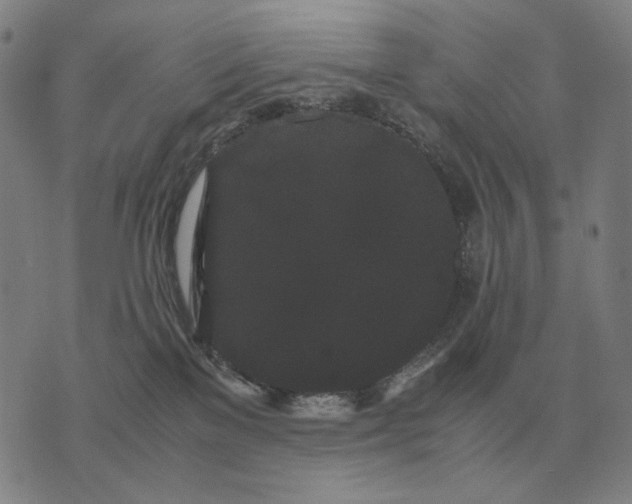 X0000071920137200607281902