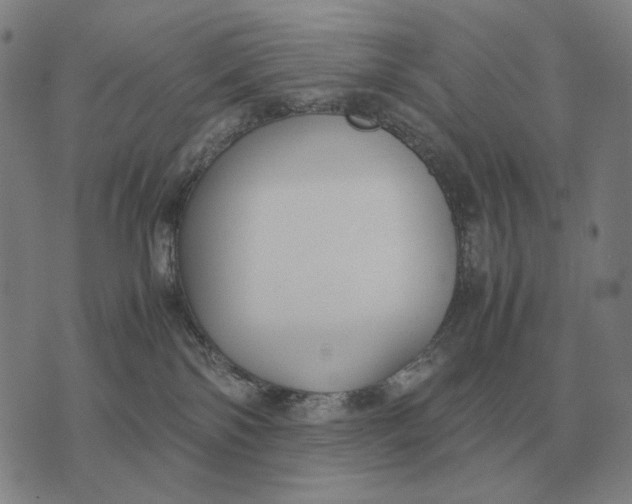 X0000071920138200607281902