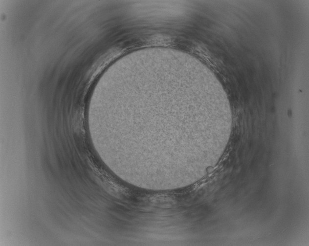 X0000071920146200607281902