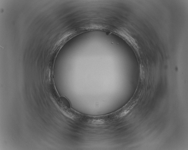 X0000071920157200607281902