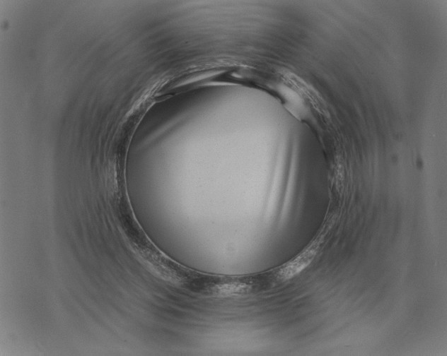 X0000071920158200607281902