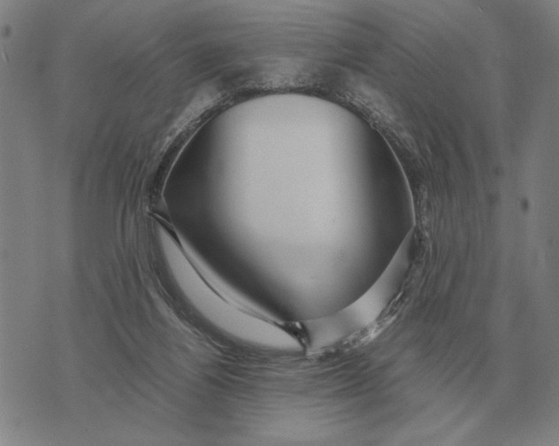 X0000071920164200607281902