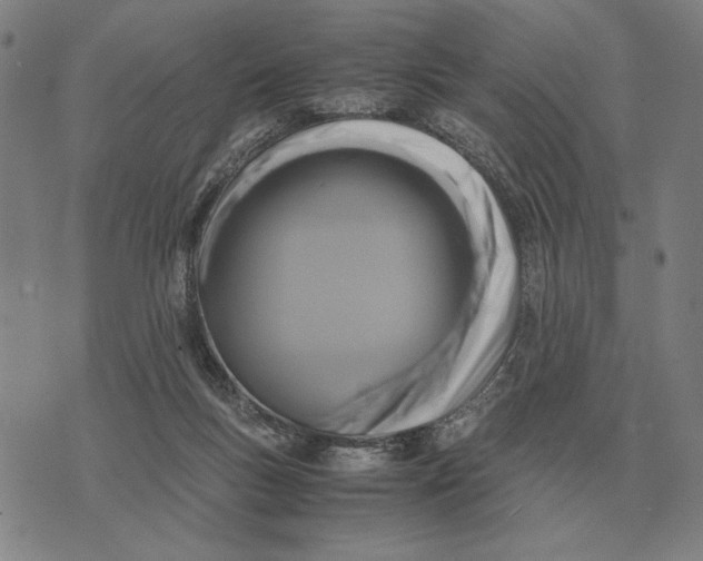 X0000071920167200607281902