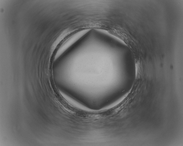 X0000071920195200607281902