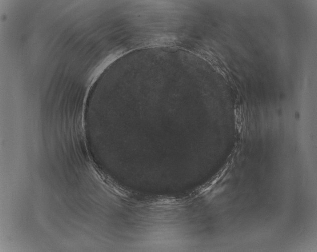X0000071920196200607281901