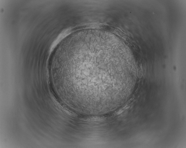 X0000071920198200607281901
