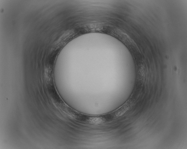 X0000071920218200607281901