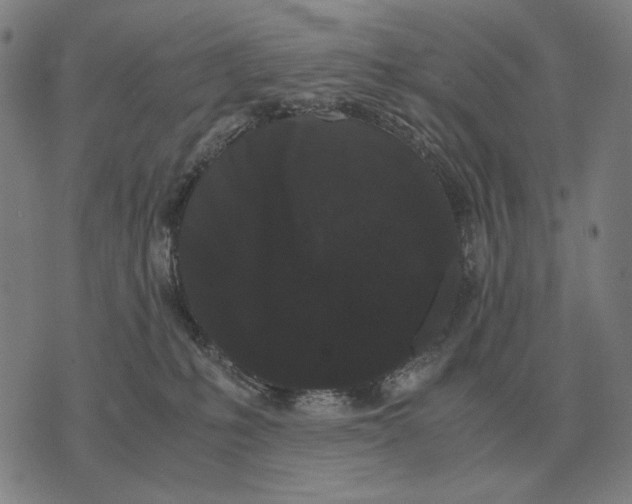 X0000071920231200607281901