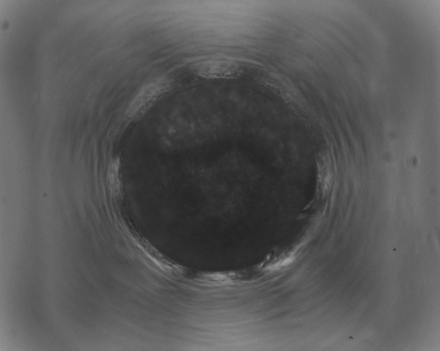 X0000071920239200607281901