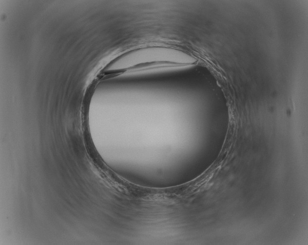 X0000071920244200607281900