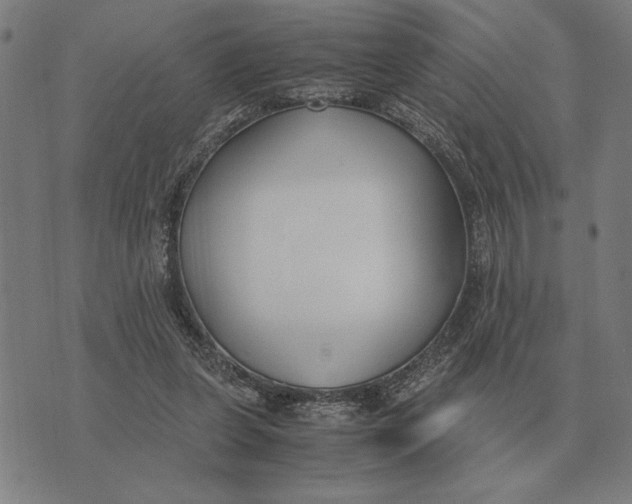X0000071920255200607281900