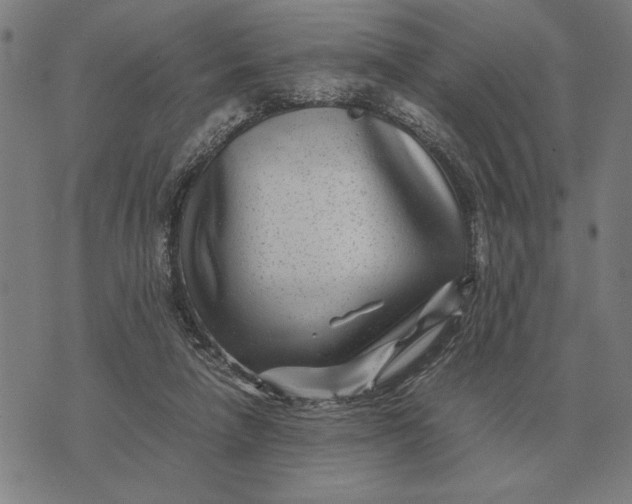 X0000071920258200607281900