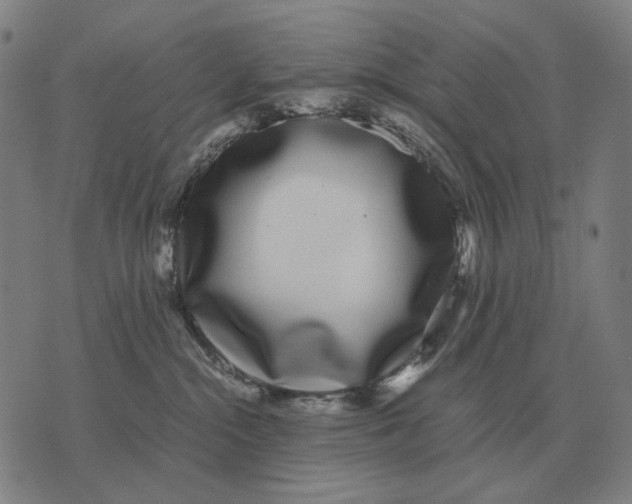 X0000071920284200607281901