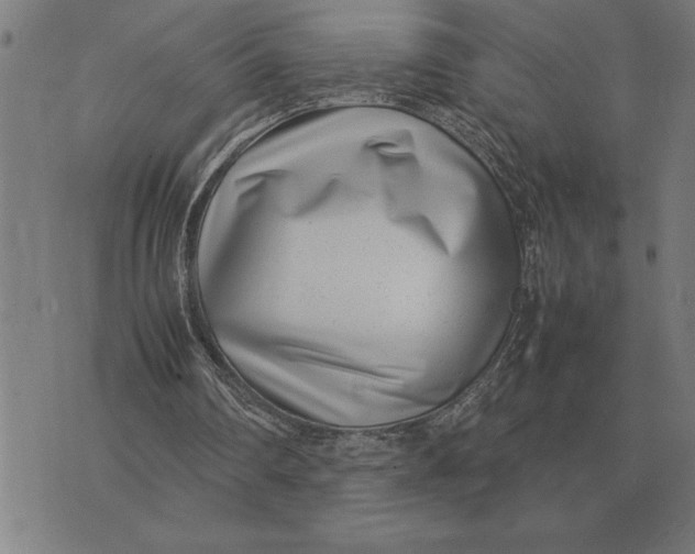 X0000071920290200607281900