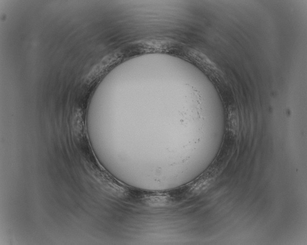 X0000071920318200607281900
