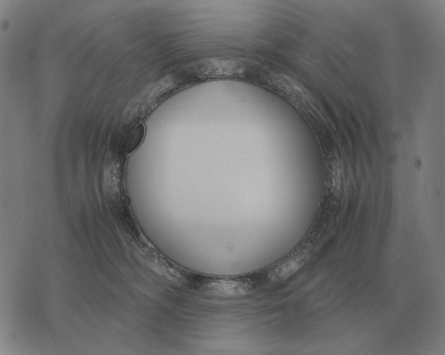 X0000071920326200607281859
