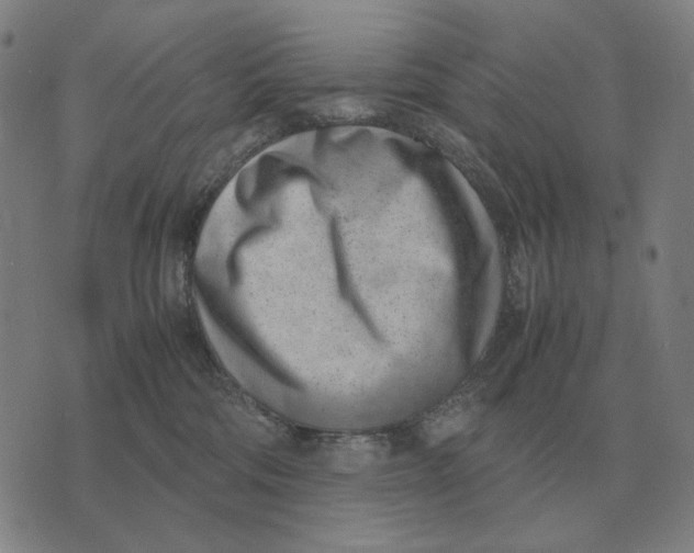X0000071920330200607281859