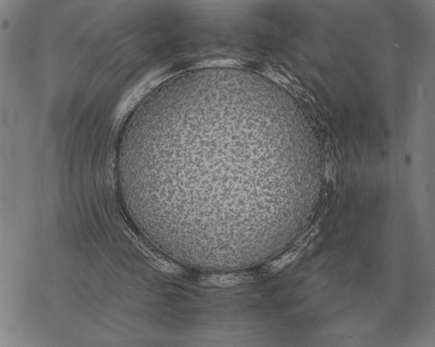 X0000071920341200607281858