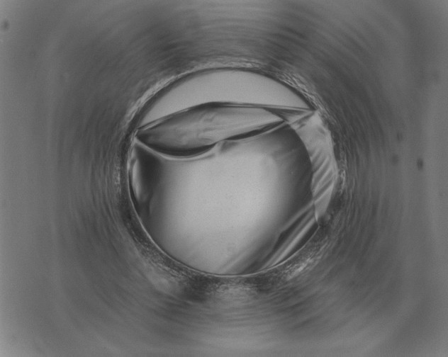 X0000071920348200607281859