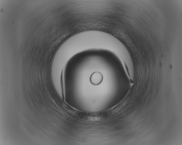 X0000071920360200607281859