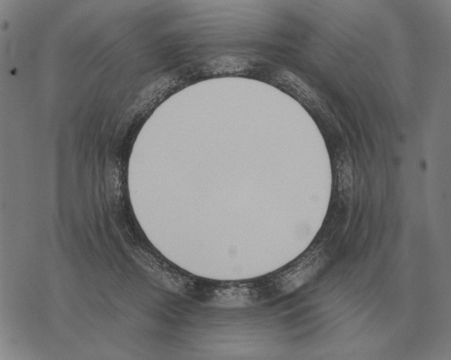 X0000071920362200607281859