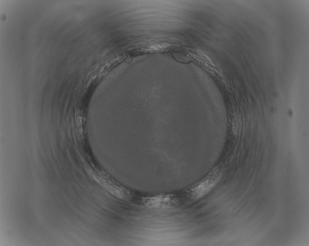 X0000071920366200607281859