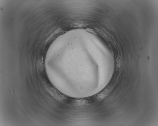 X0000071920376200607281859