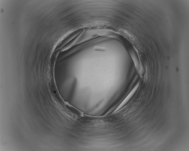 X0000071920392200607281858