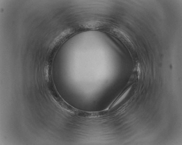 X0000071920404200607281858