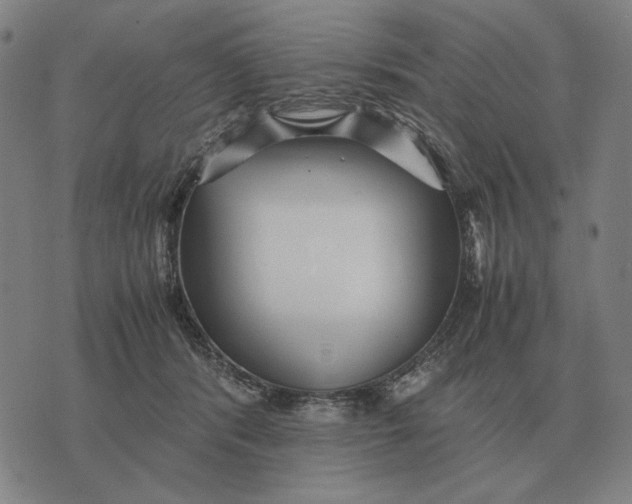 X0000071920416200607281858