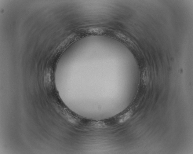 X0000071920424200607281858