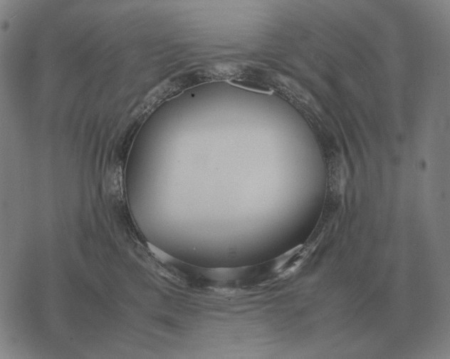 X0000071920425200607281858