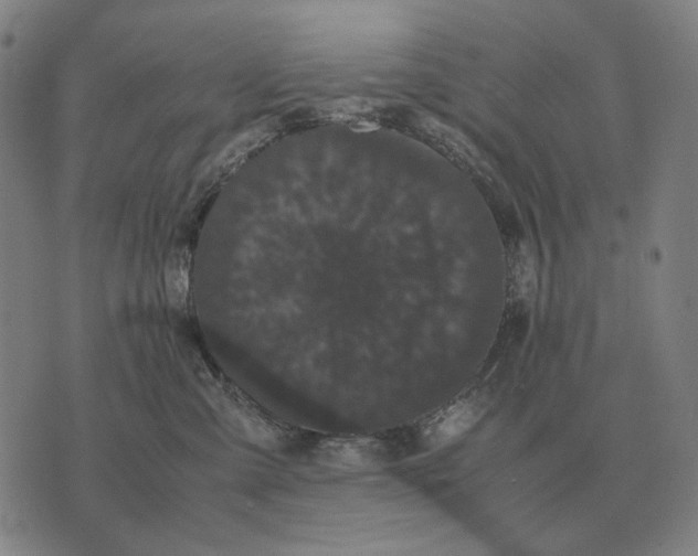 X0000071920427200607281858