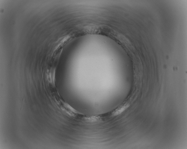 X0000071920432200607281858