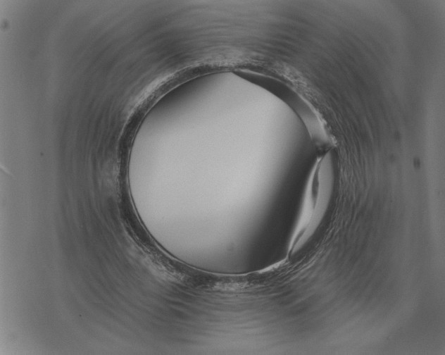 X0000071920440200607281857