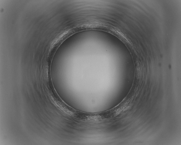 X0000071920446200607281857