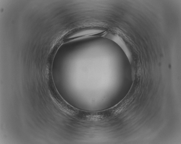 X0000071920448200607281857