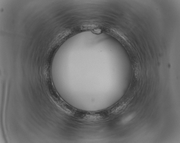 X0000071920455200607281857