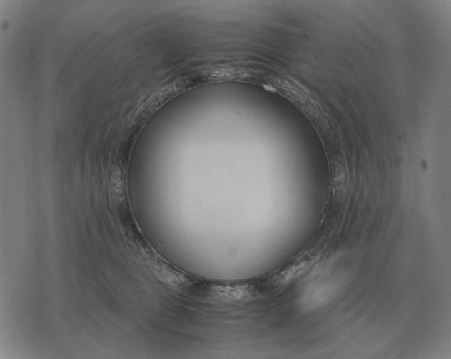 X0000071920469200607281857