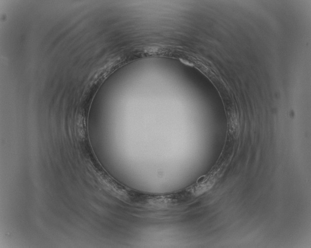 X0000071920470200607281857